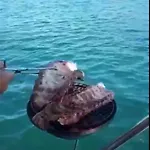 Hotel na wodzie Don Maximo Yacht