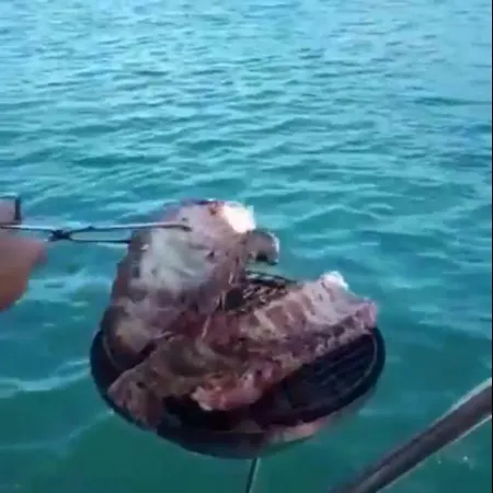 ספינת מלון Don Maximo Yacht