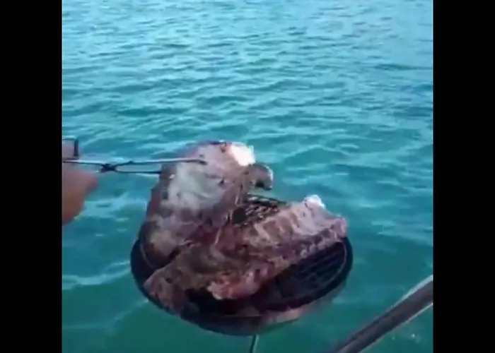 ספינת מלון Don Maximo Yacht